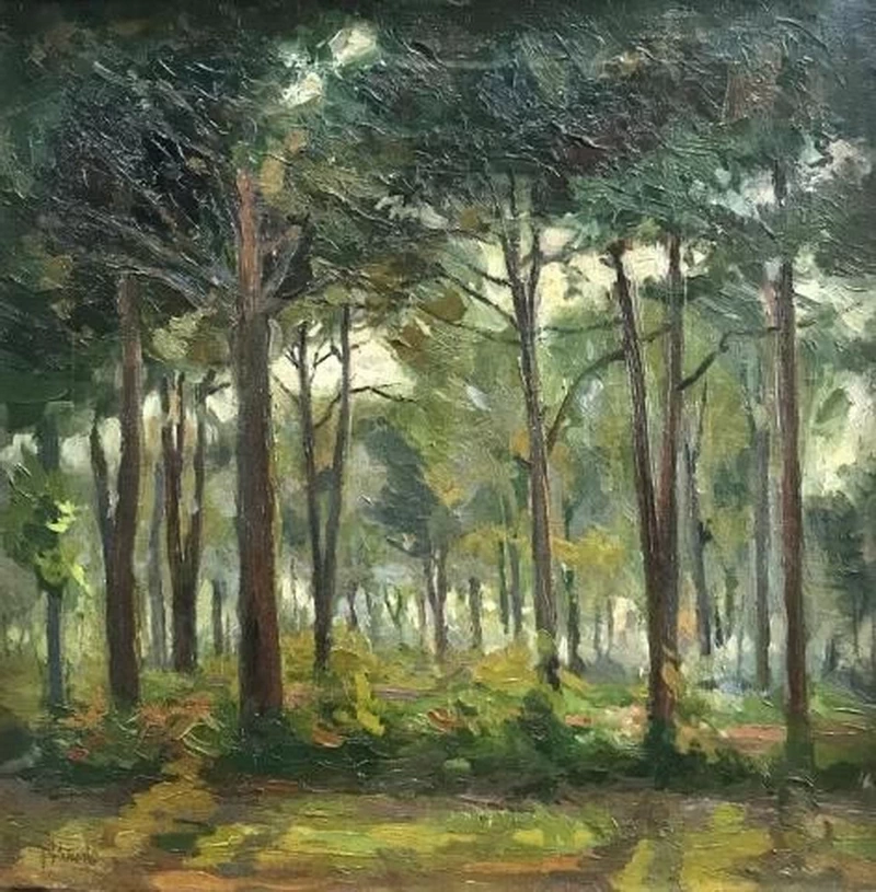 Pineta